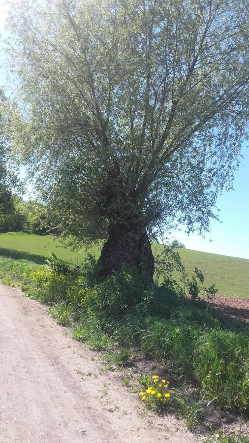 Domek Bialojany Buitenkant foto